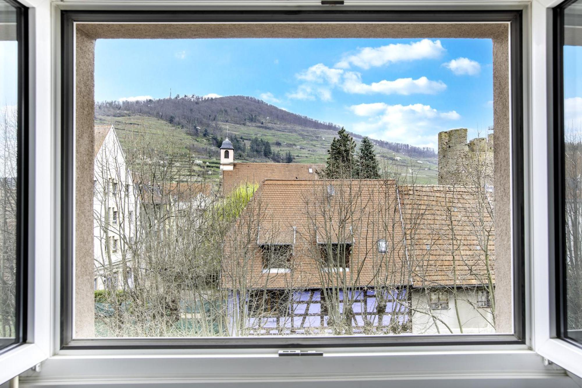 Choupette De La Vallee Avec Garage Kaysersberg-Vignoble ภายนอก รูปภาพ